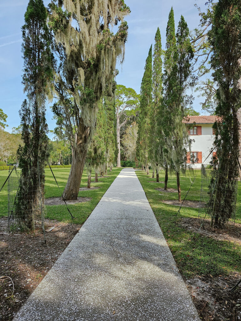 Jekyll island