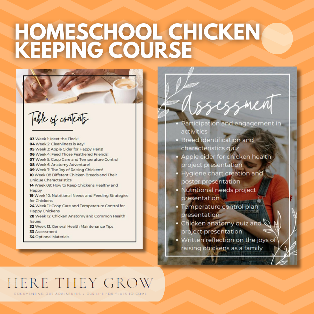 chicken keeping course