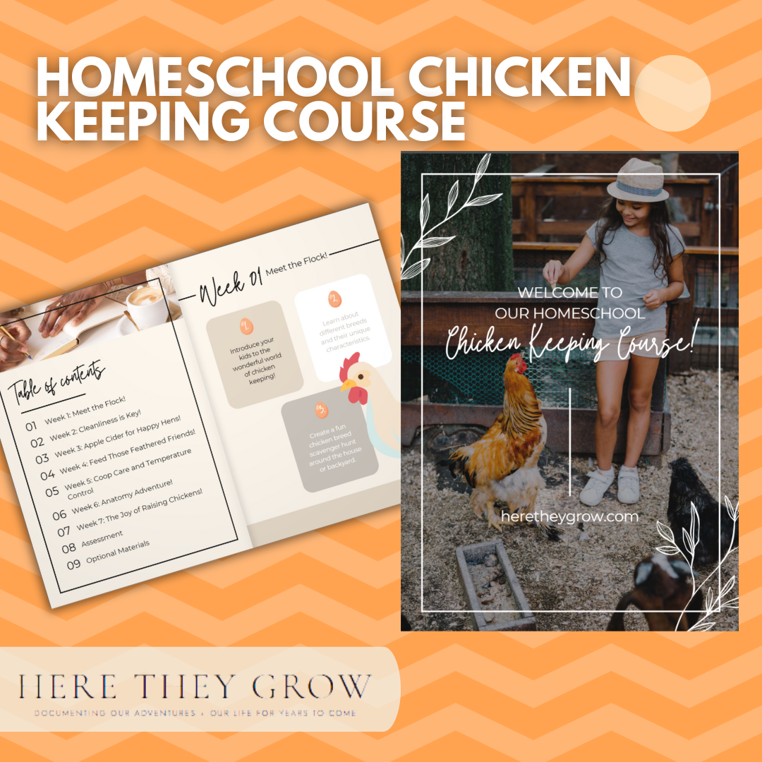 Homeschool chicken keeping course