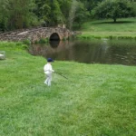 Nature challenge