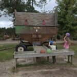 homeschool curriculars
