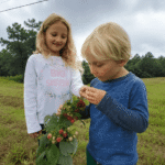 homeschooling
