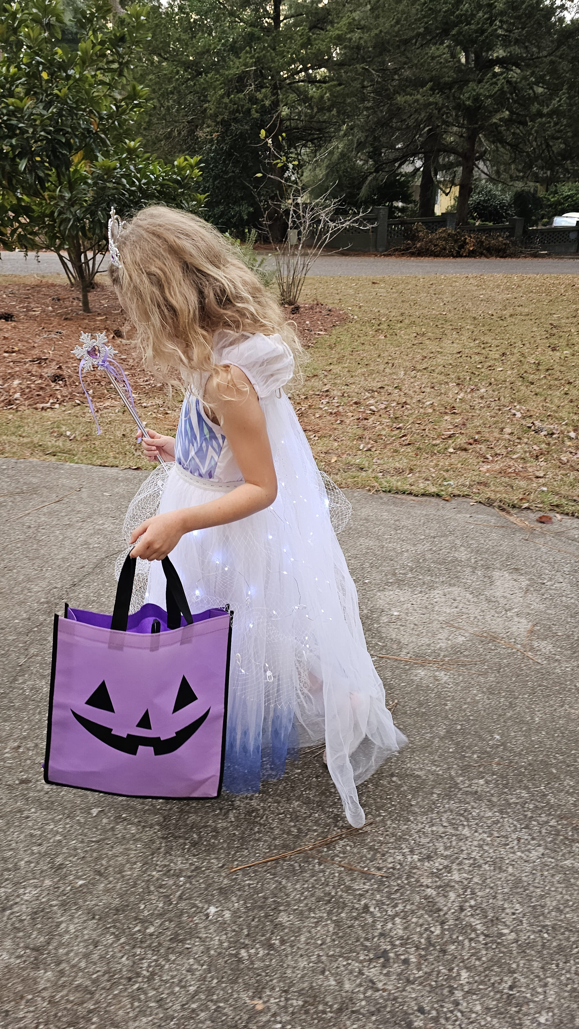 Child wearing a fairy costume and carrying a purple Halloween bag