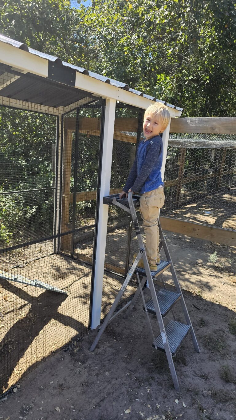 Autumn family traditions