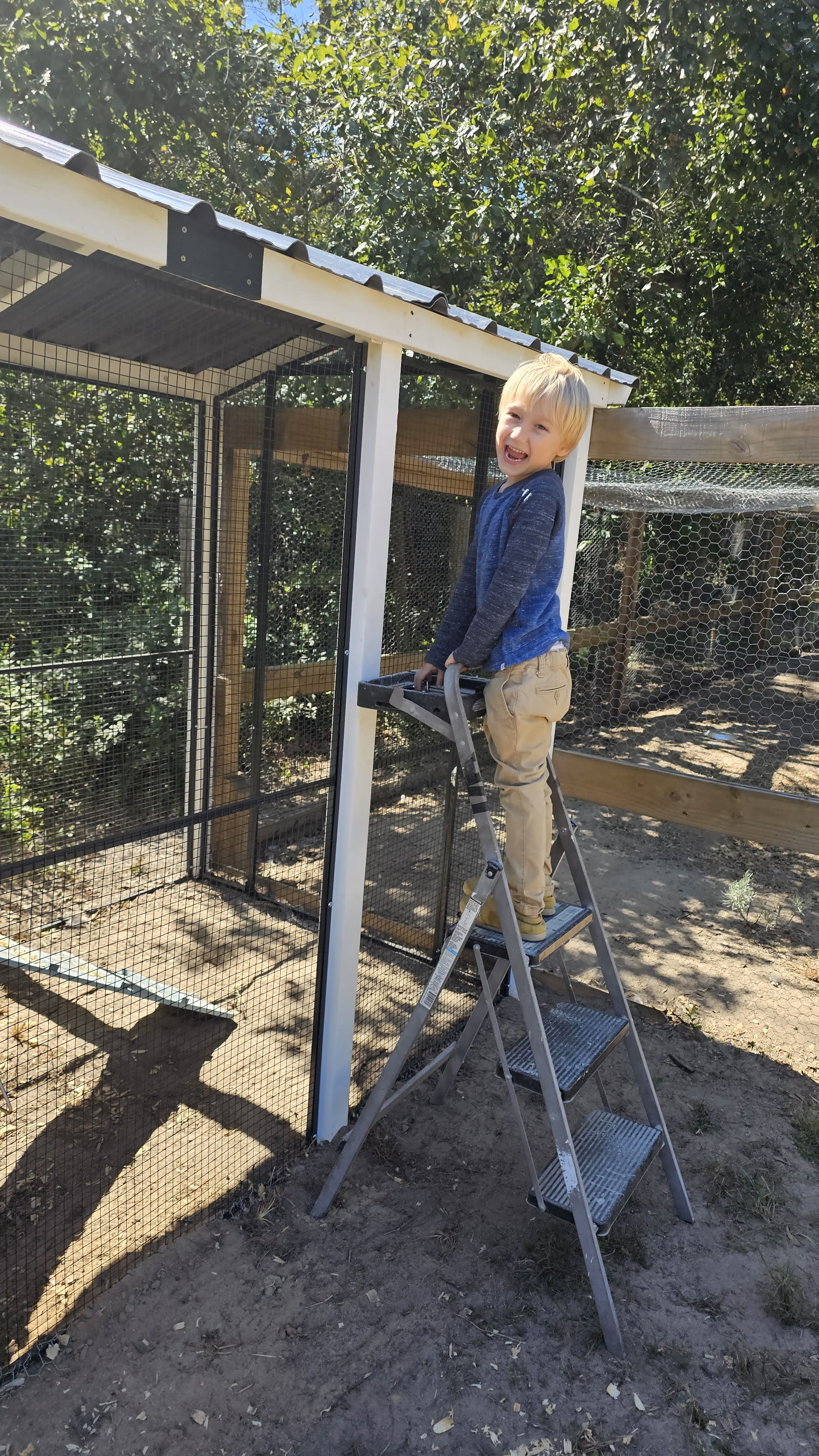 Young child helping with an outdoor family project near the chicken coop